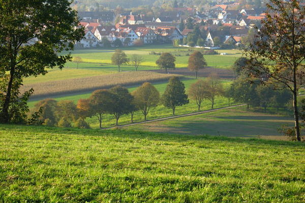 Kirchzarten